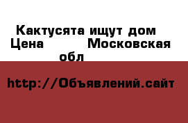 Кактусята ищут дом › Цена ­ 150 - Московская обл.  »    